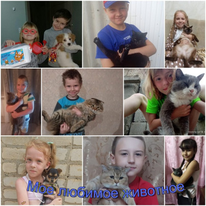 "Мое любимое животное" "Мое любимое животное".